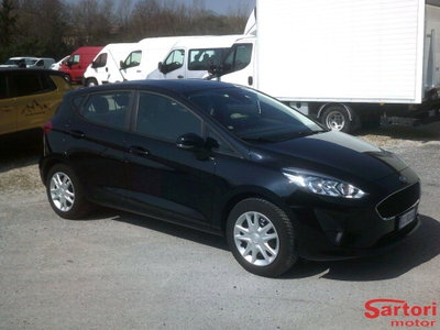 Ford Fiesta 1.1 5 porte Plus (2)