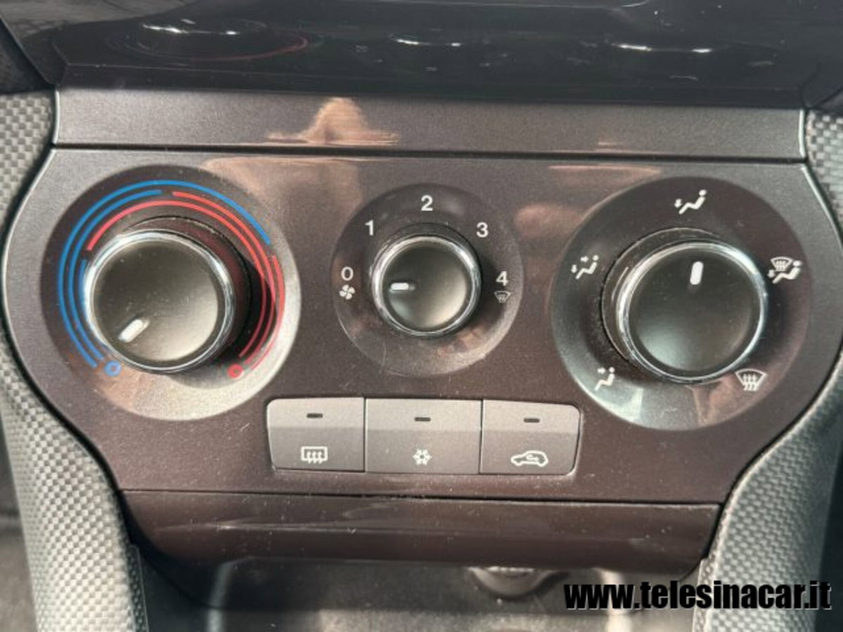 Fiat Bravo 1.6 MJT 105CV Van Active 4 posti (14)