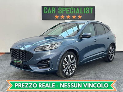 Ford Kuga 1.5 EcoBlue 120 CV aut. 2WD ST-Line X usata
