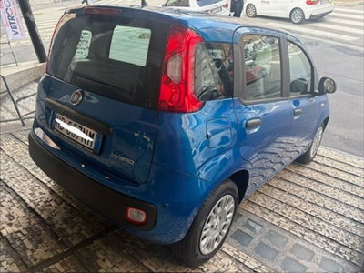 Fiat Pandina 1.0 firefly hybrid Pop s&s 65cv (5)