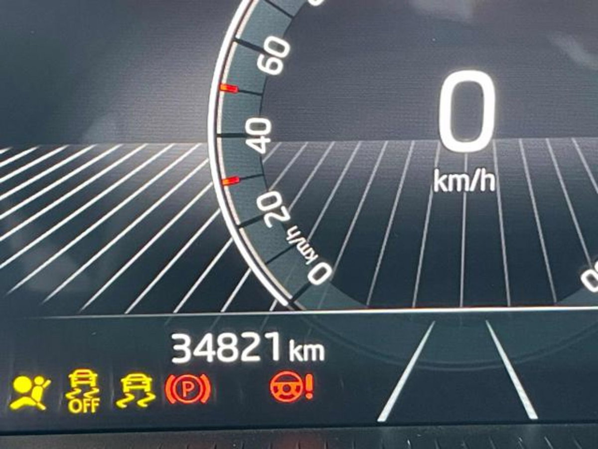 Skoda Fabia 1.0 tsi Monte Carlo 95cv (13)