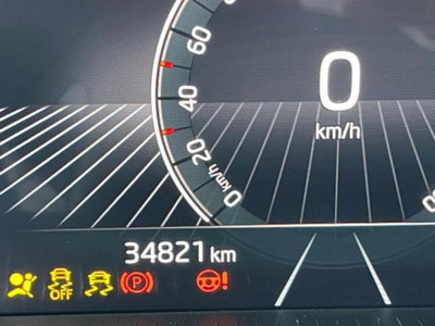 Skoda Fabia 1.0 tsi Monte Carlo 95cv (13)