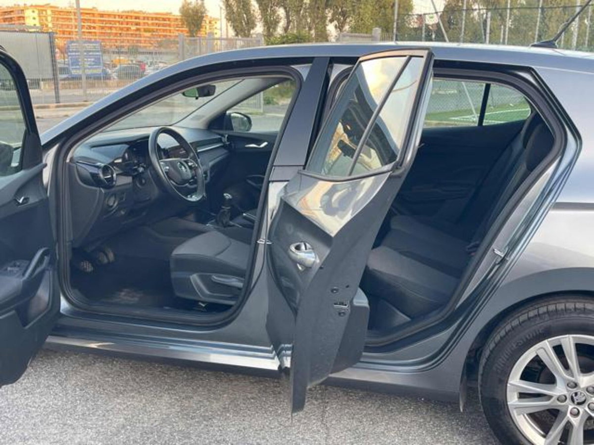 Skoda Fabia 1.0 tsi Monte Carlo 95cv (4)