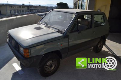 Fiat Panda 4x4 usata