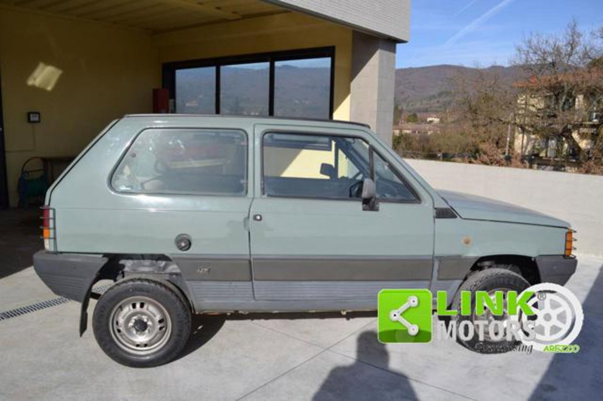 Fiat Panda 4x4 (3)