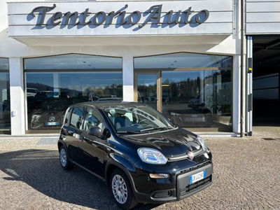 Fiat Panda 1.0 firefly hybrid s&s 70cv 5p.ti usata