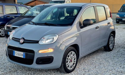 Fiat Panda 1.2 usata