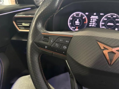 Cupra Formentor Formentor 2.0 TDI (14)