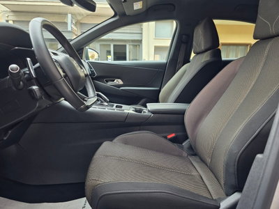 Ds DS 7 1.5 bluehdi Bastille Business 130cv auto (11)