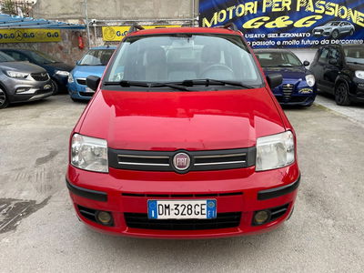 Fiat Panda 1.2 Dynamic Natural Power usata