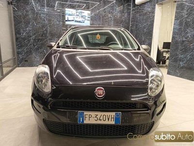 Fiat Punto 1.2 8V 5 porte Street usata