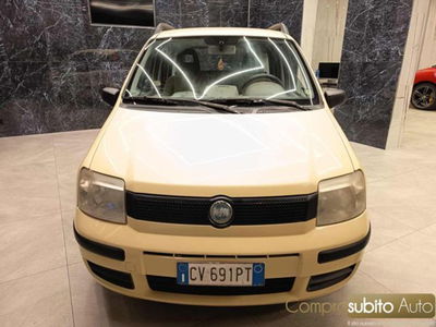 Fiat Panda 1.2 Dynamic usata