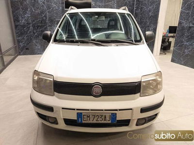 Fiat Panda 1.4 Active Natural Power usata