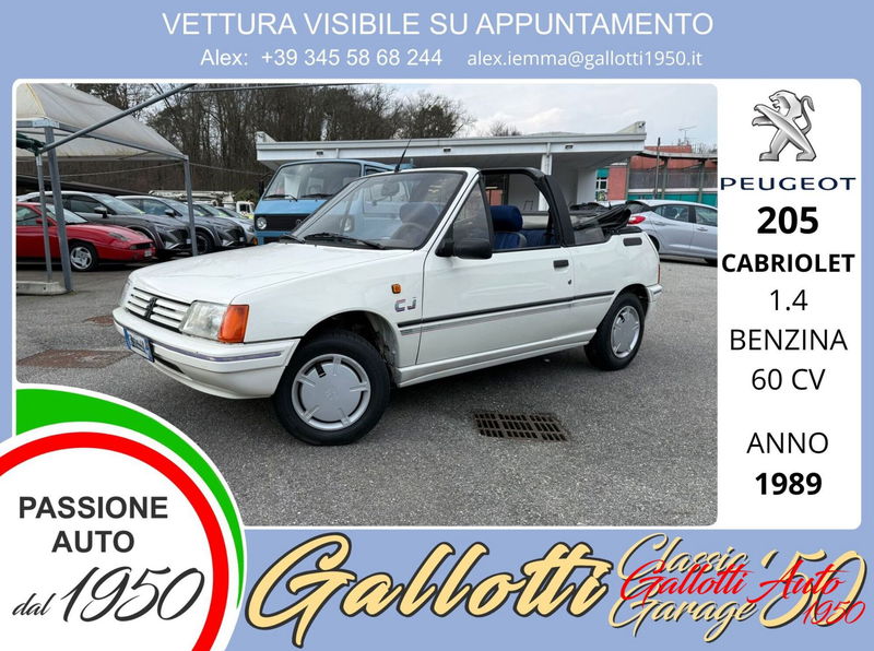 Peugeot 205 Cabrio cat Cabriolet CJ