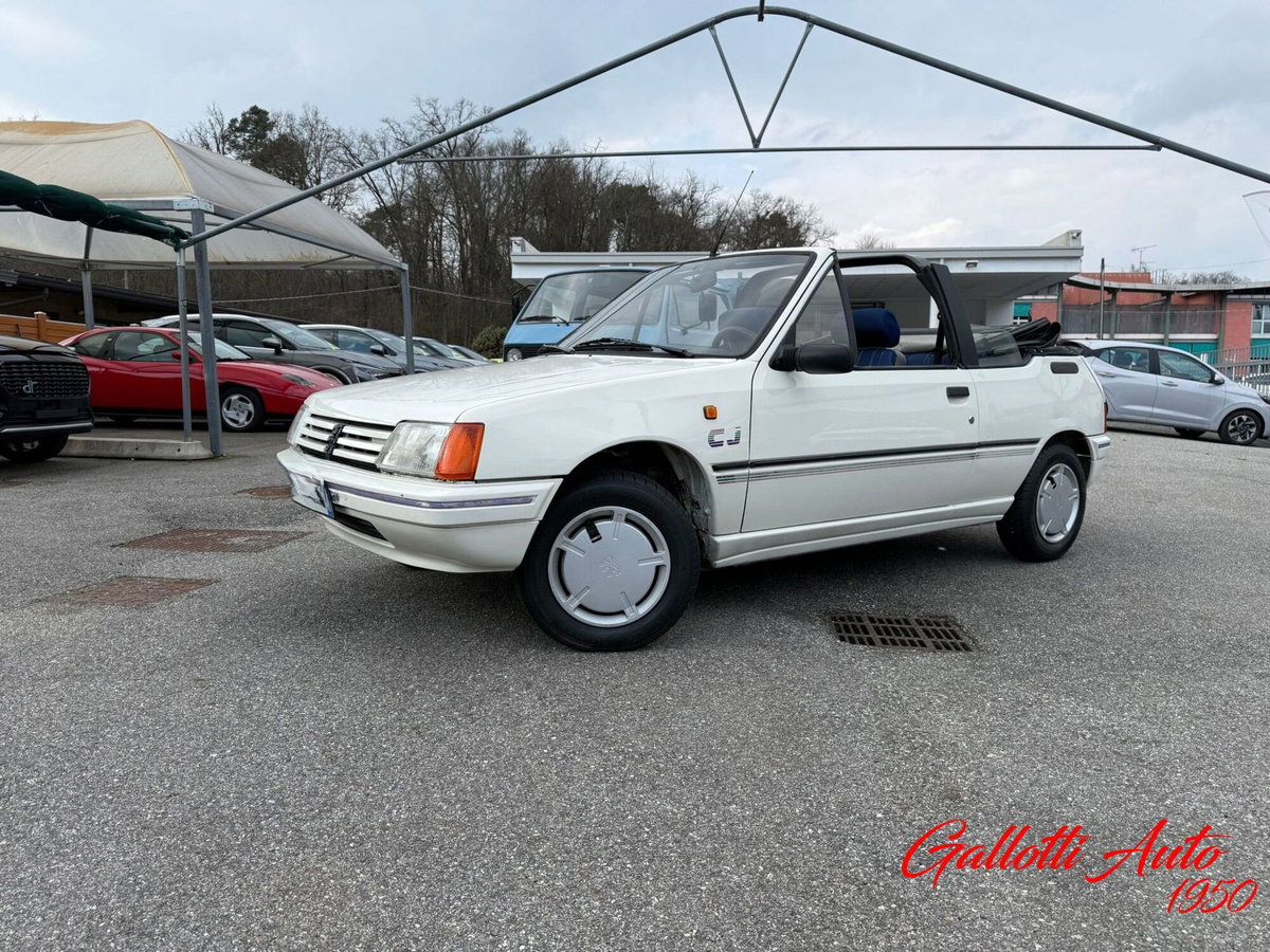 Peugeot 205 Cabrio cat Cabriolet CJ (3)