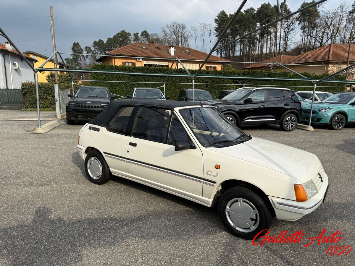 Peugeot 205 Cabrio cat Cabriolet CJ (6)