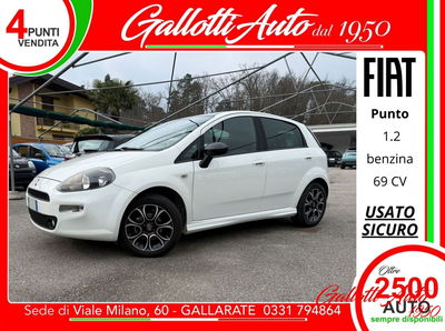 Fiat Punto 1.2 8V 5 porte Pop usata