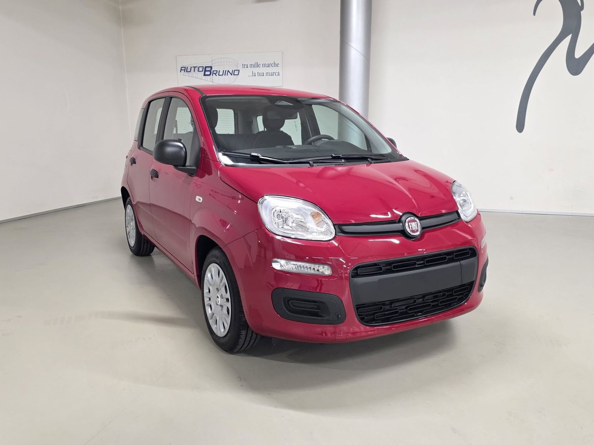 Fiat Panda 1.0 FireFly S&S Hybrid Easy (3)