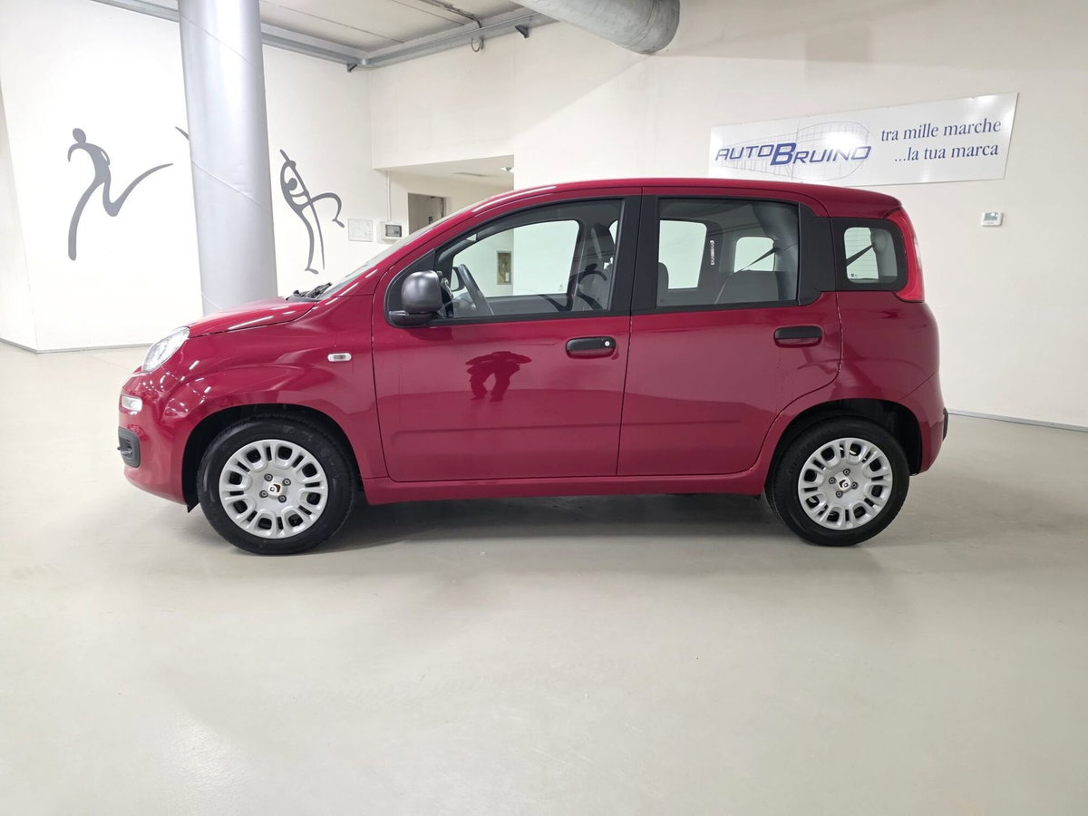 Fiat Panda 1.0 FireFly S&S Hybrid Easy (7)