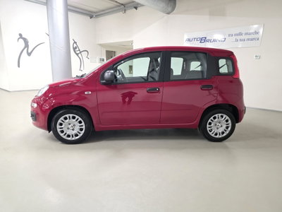 Fiat Panda 1.0 FireFly S&S Hybrid Easy (7)