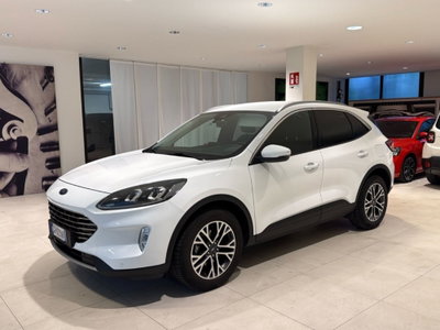 Ford Kuga 1.5 EcoBlue 120 CV aut. 2WD usata