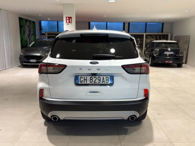 Ford Kuga 1.5 EcoBlue 120 CV aut. 2WD (16)