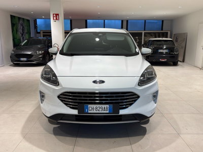 Ford Kuga 1.5 EcoBlue 120 CV aut. 2WD (17)