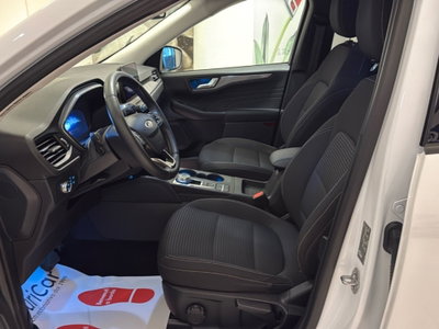 Ford Kuga 1.5 EcoBlue 120 CV aut. 2WD (18)