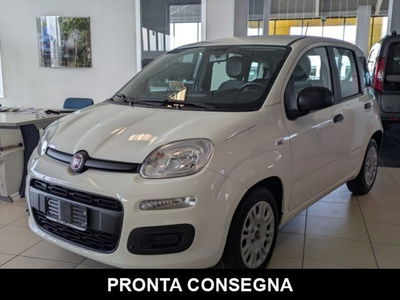 Fiat Panda 1.0 firefly hybrid s&s 70cv 5p.ti usata