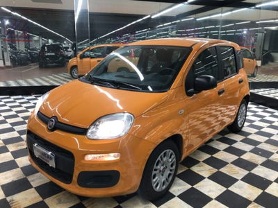 Fiat Panda 1.2 Easy usata