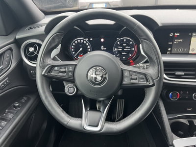 Alfa Romeo Stelvio Stelvio 2.2 Turbodiesel 210 CV AT8 Q4 Veloce (11)
