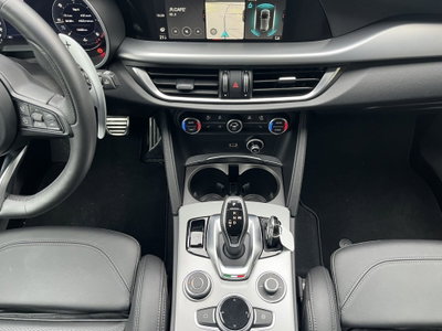 Alfa Romeo Stelvio Stelvio 2.2 Turbodiesel 210 CV AT8 Q4 Veloce (12)