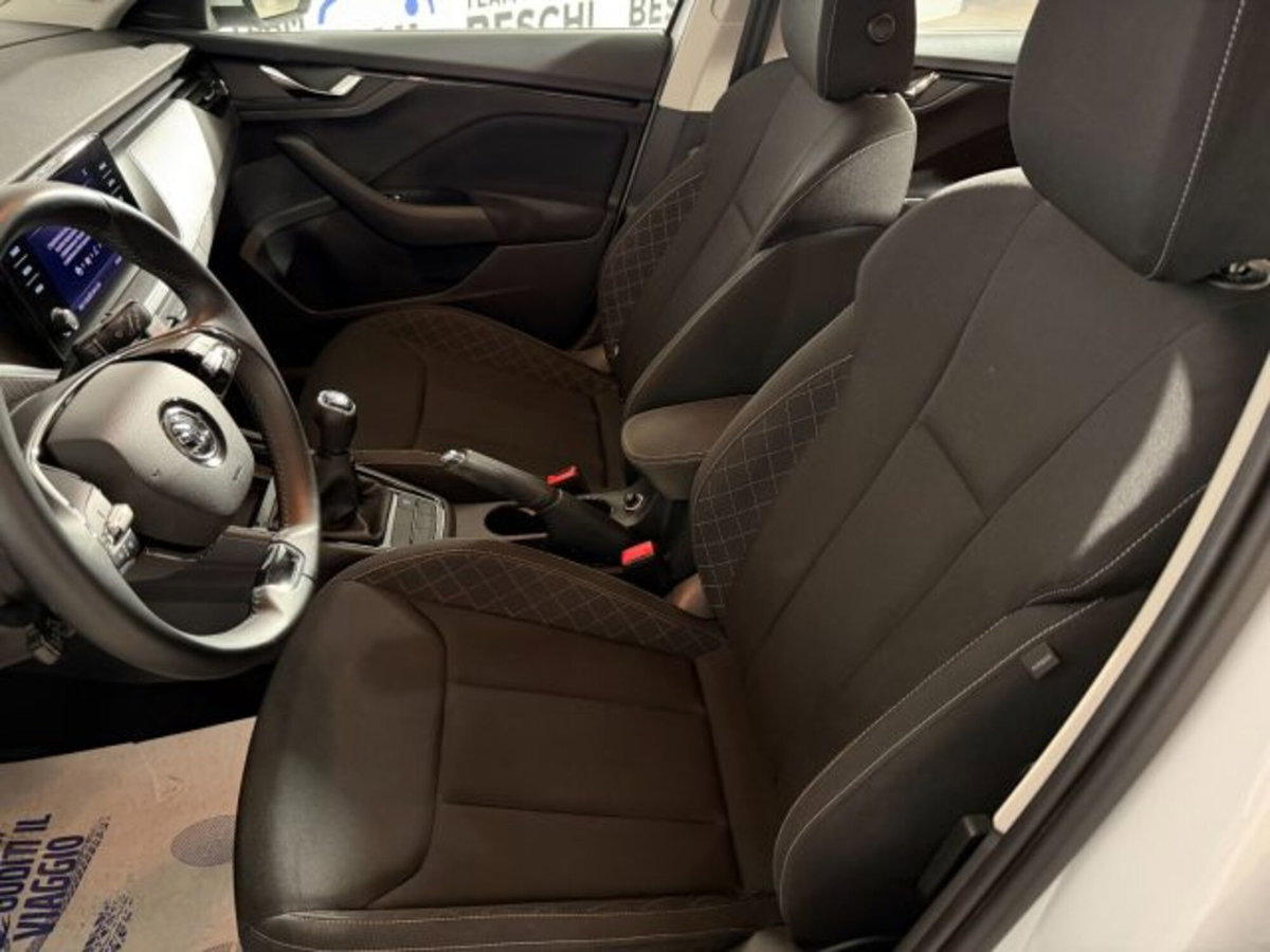 Skoda Kamiq 1.0 TSI 110 CV DSG Ambition (8)