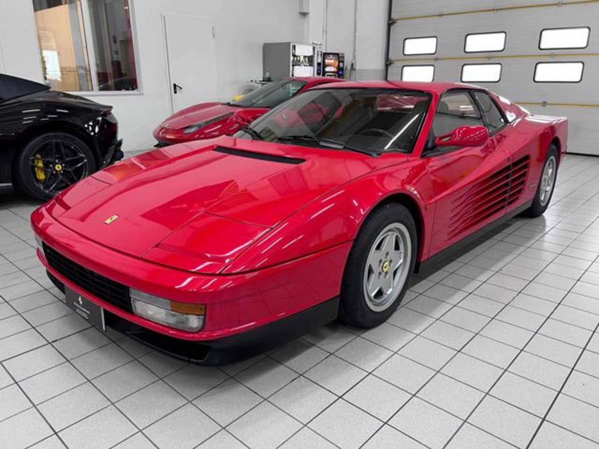 Ferrari Testarossa Testarossa cat