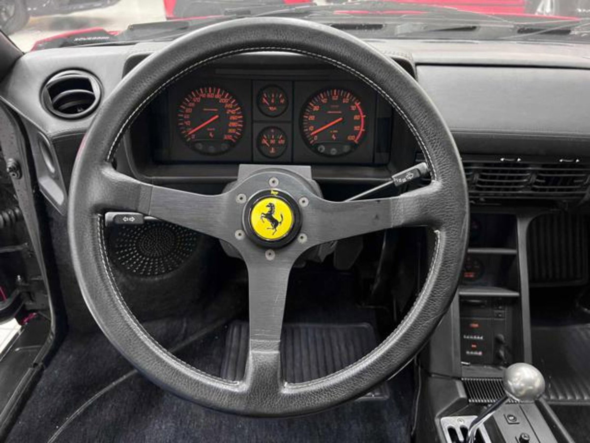 Ferrari Testarossa Testarossa cat (11)