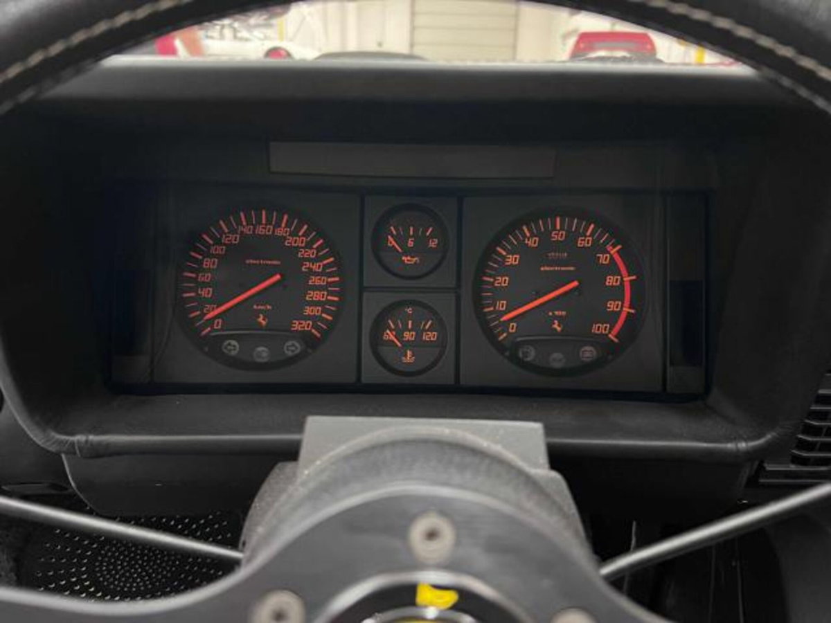 Ferrari Testarossa Testarossa cat (12)