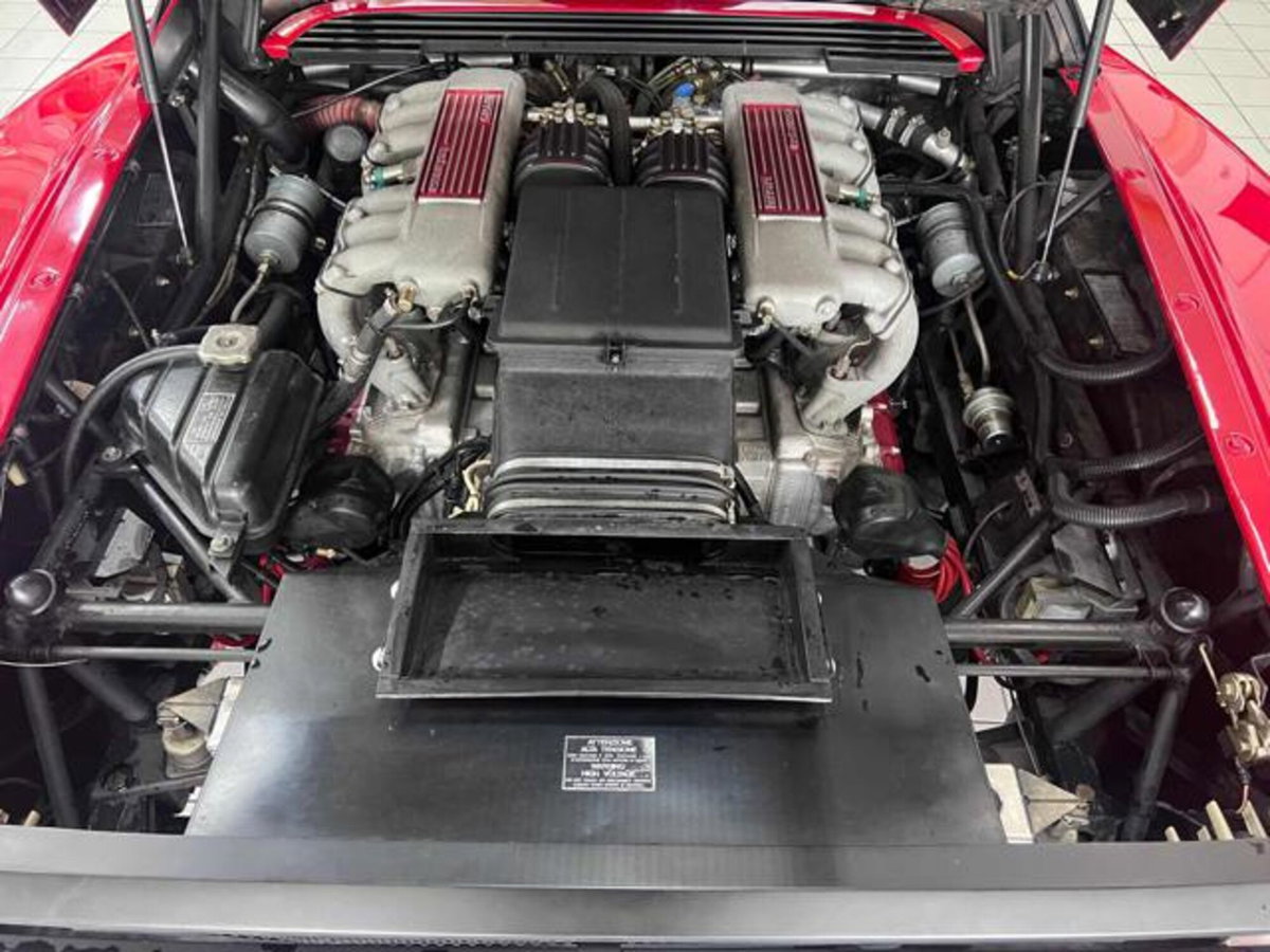 Ferrari Testarossa Testarossa cat (13)