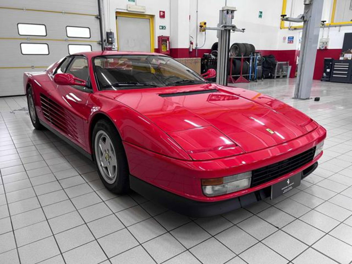 Ferrari Testarossa Testarossa cat (2)