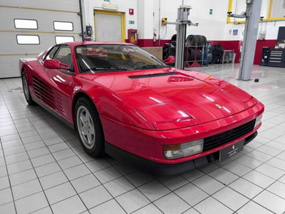 Ferrari Testarossa Testarossa cat (2)