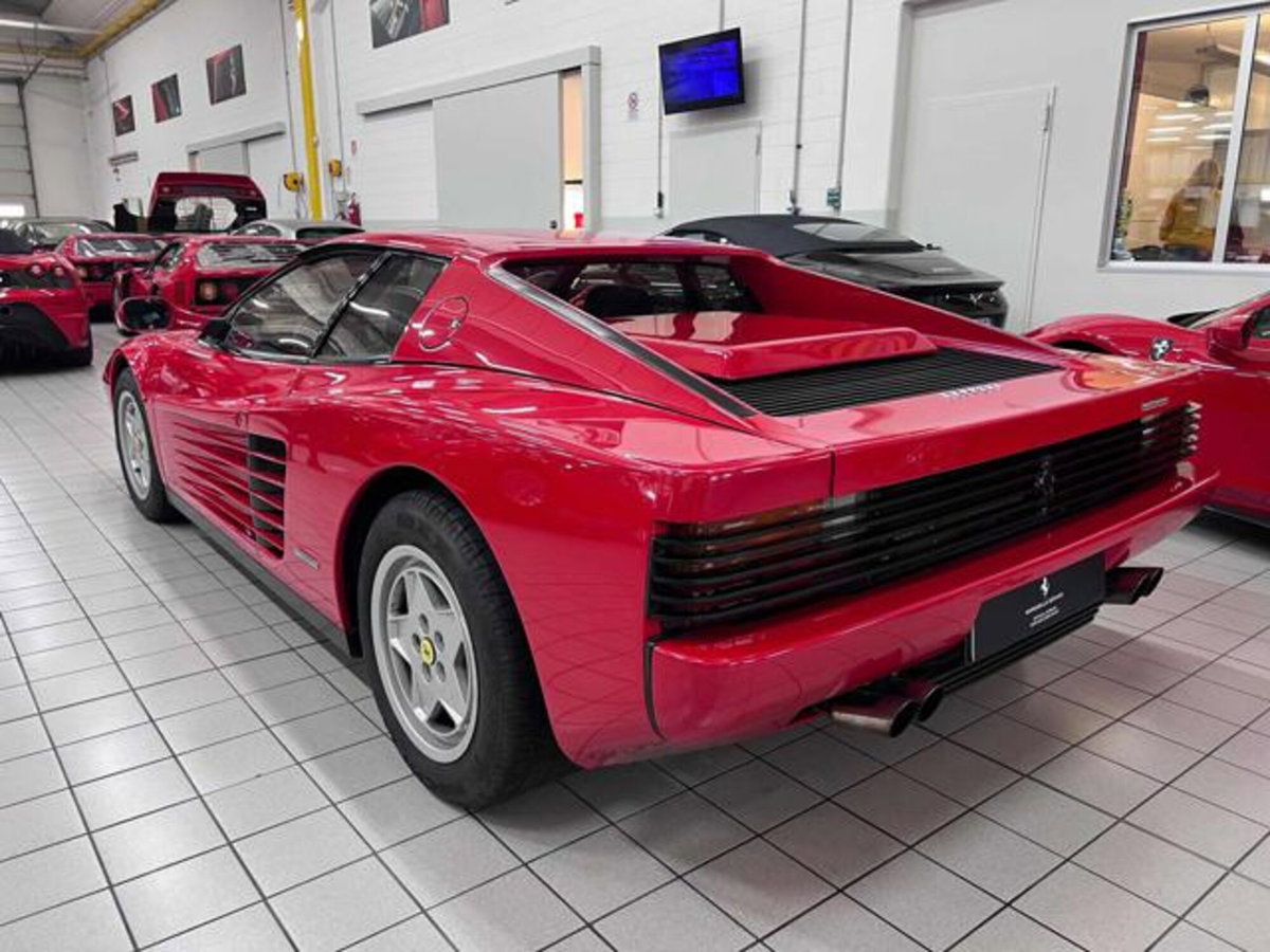 Ferrari Testarossa Testarossa cat (3)