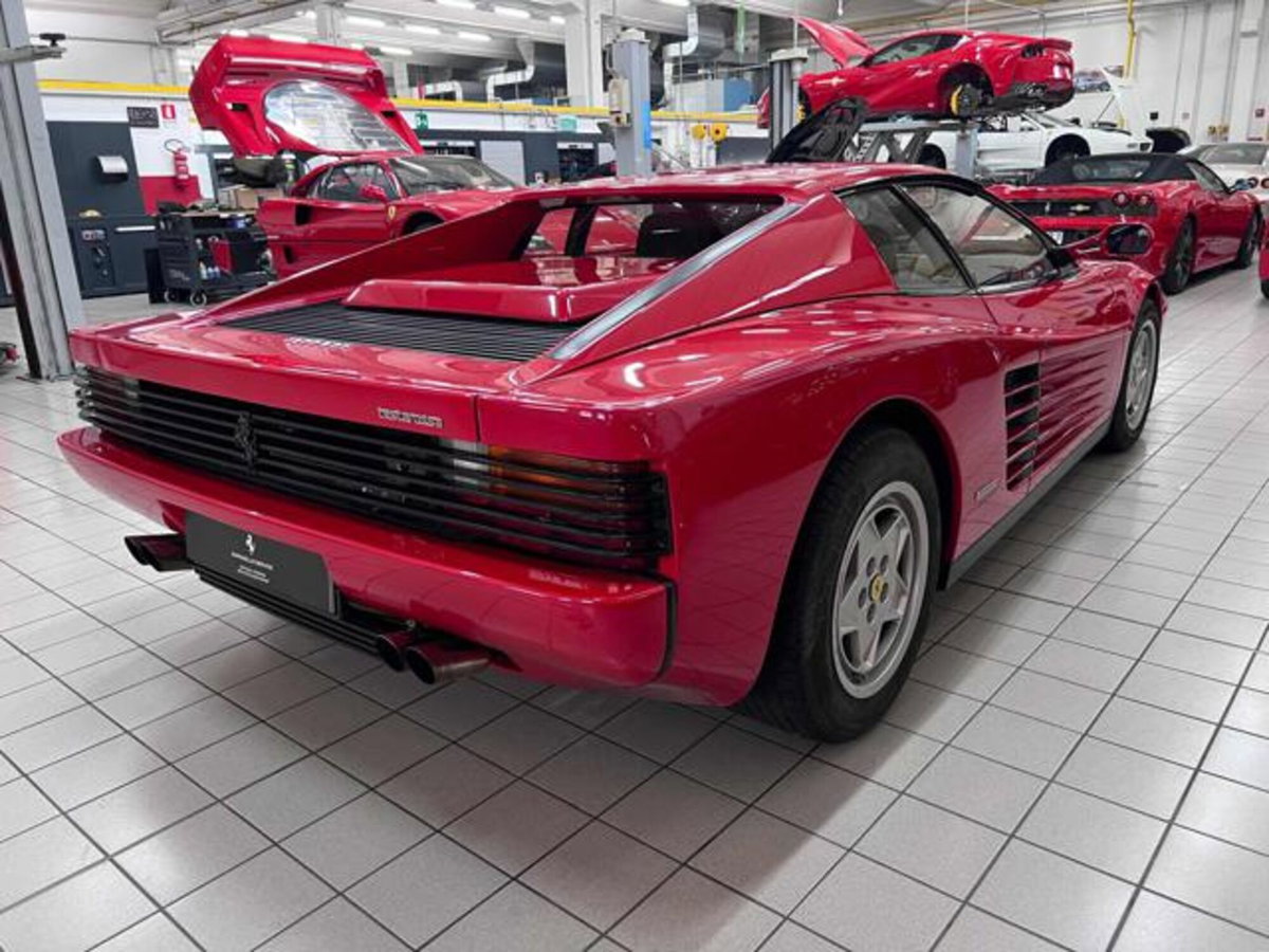 Ferrari Testarossa Testarossa cat (4)