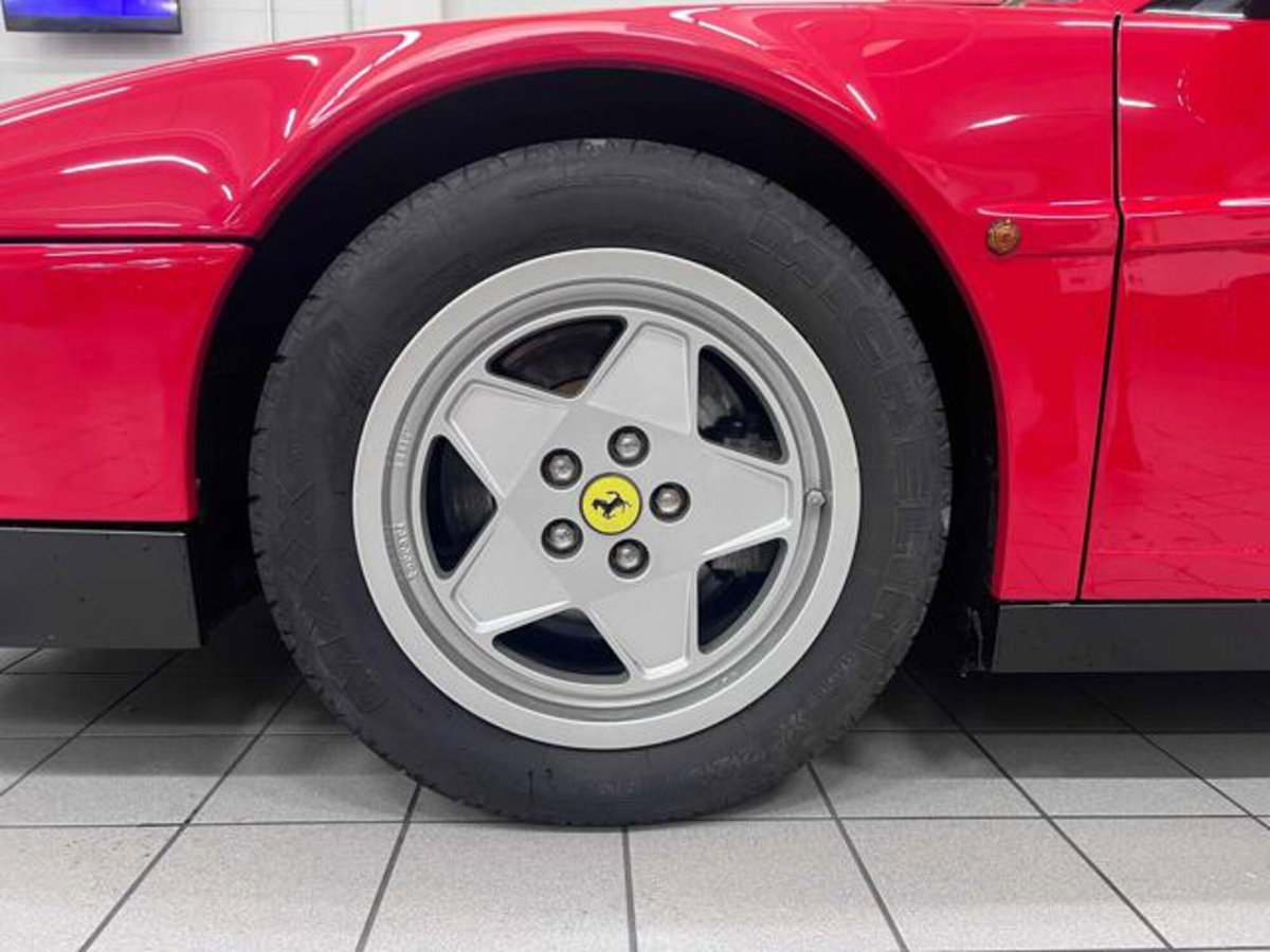 Ferrari Testarossa Testarossa cat (5)