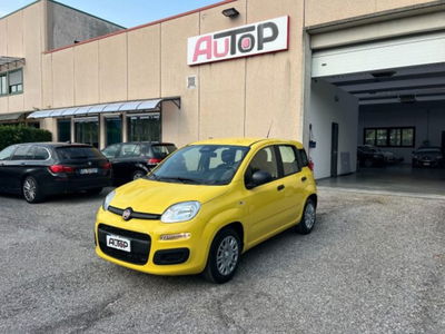 Fiat Panda 1.0 firefly hybrid s&s 70cv 5p.ti nuova