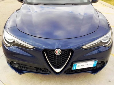 Alfa Romeo Stelvio Stelvio 2.2 Turbodiesel 190 CV AT8 Q4 Business (14)