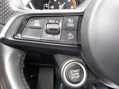 Alfa Romeo Stelvio Stelvio 2.2 Turbodiesel 190 CV AT8 Q4 Business (19)