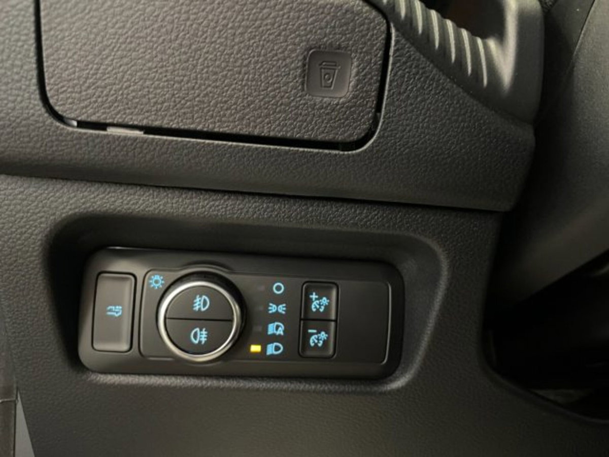 Ford Ranger Pick-up Raptor 2.0 ecoblue 210cv auto (19)