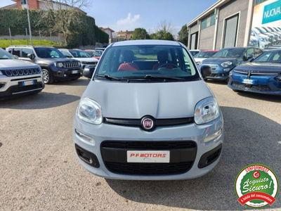 Fiat Panda Cross Cross 1.0 FireFly S&S Hybrid usata