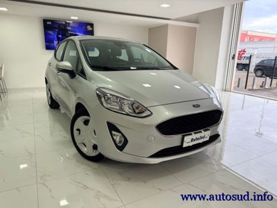 Ford Fiesta 1.5 EcoBlue 5 porte Business High usata