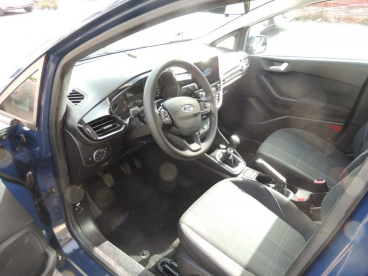 Ford Fiesta 1.5 EcoBlue 5 porte Business High (11)