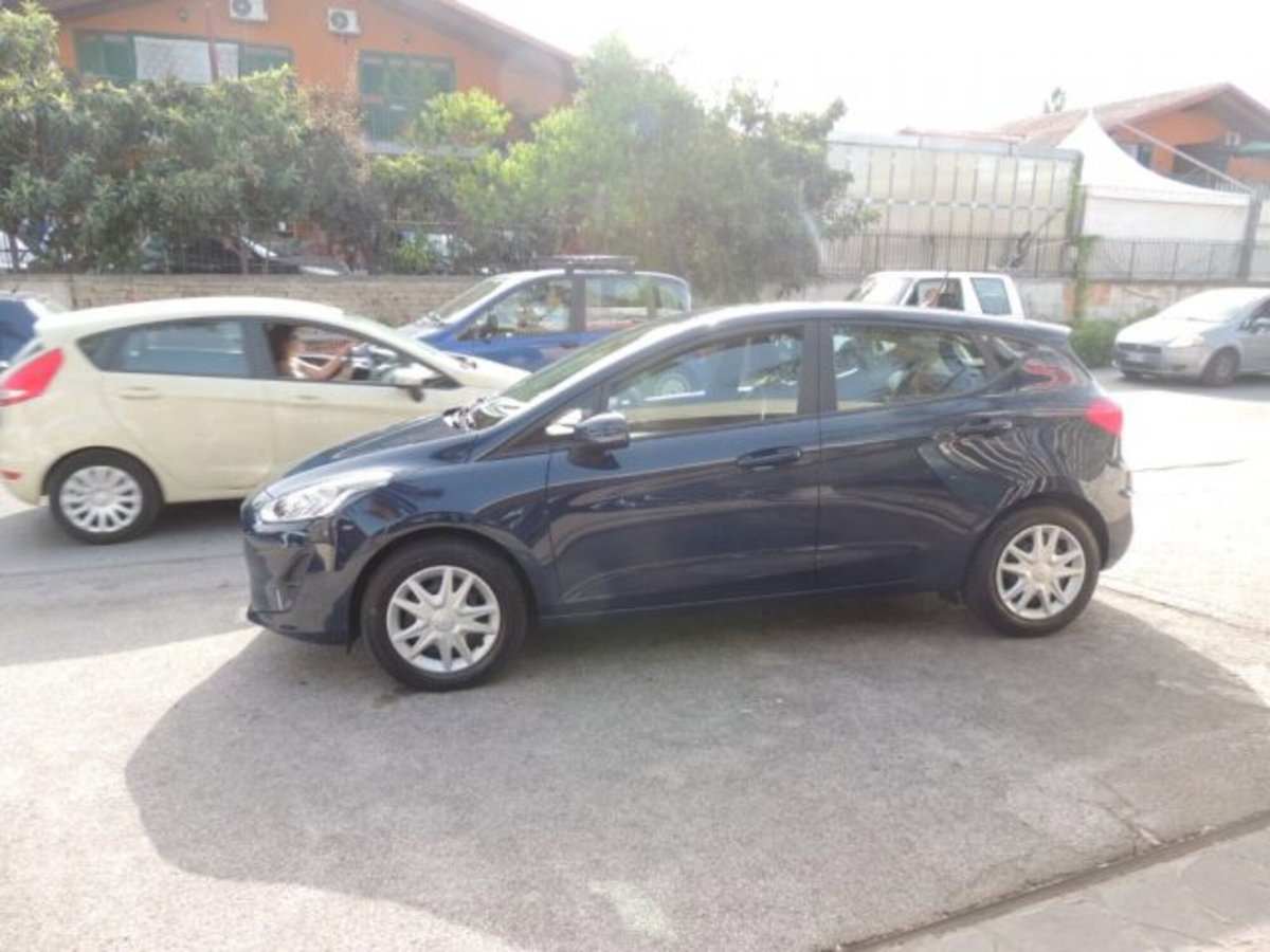 Ford Fiesta 1.5 EcoBlue 5 porte Business High (3)